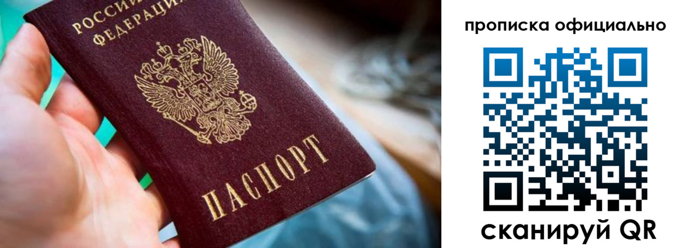 прописка поиск в Чистополье